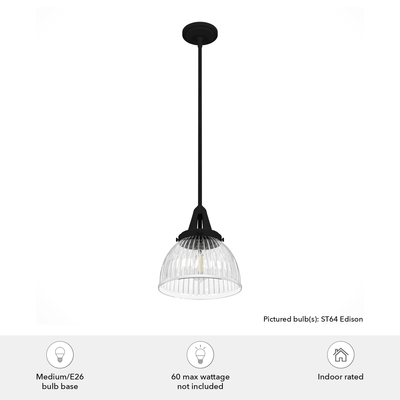 Cypress Grove 10-inch 1-light Natural Black Iron Industrial Pendant with Clear Holophane Glass