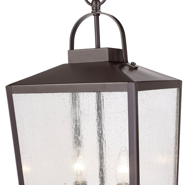 22-inch Devens Powder Coated Bronze 2-Light Outdoor Hanging Lantern with Clear Seeded Glass