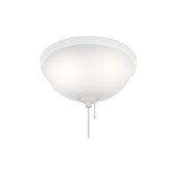 Hunter Integrated LED 3 Light Ceiling Fan Bowl