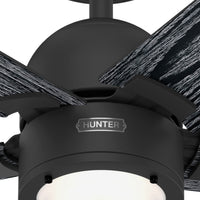 52 inch Erling ENERGY STAR® Matte Black Ceiling Fan with LED Light Kit and Handheld Remote