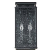 Overton 14-inch 2-light Matte Black Exterior Wall Sconce with Clear Antique Glass