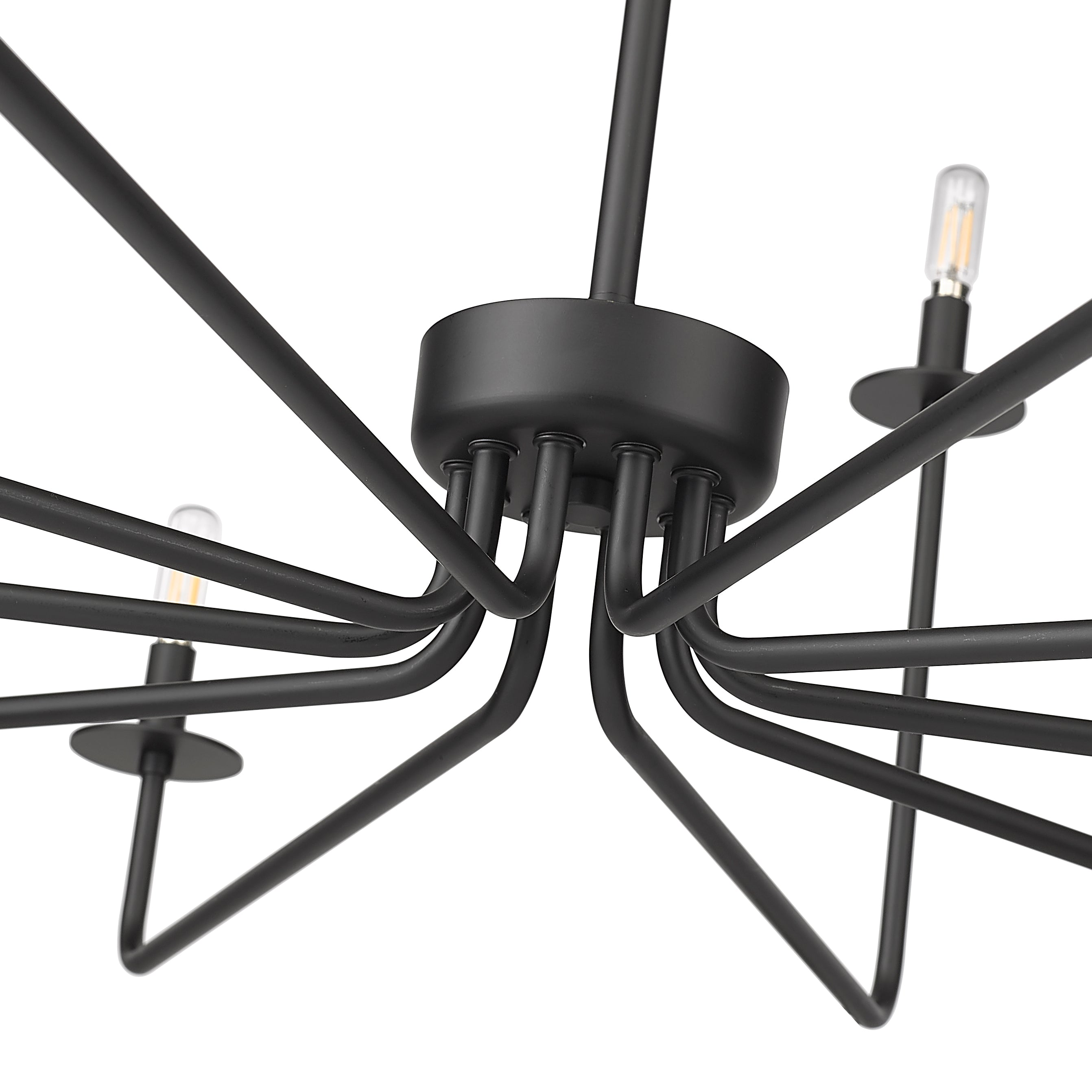 27'' Marceline Matte Black 10 Light Chandelier