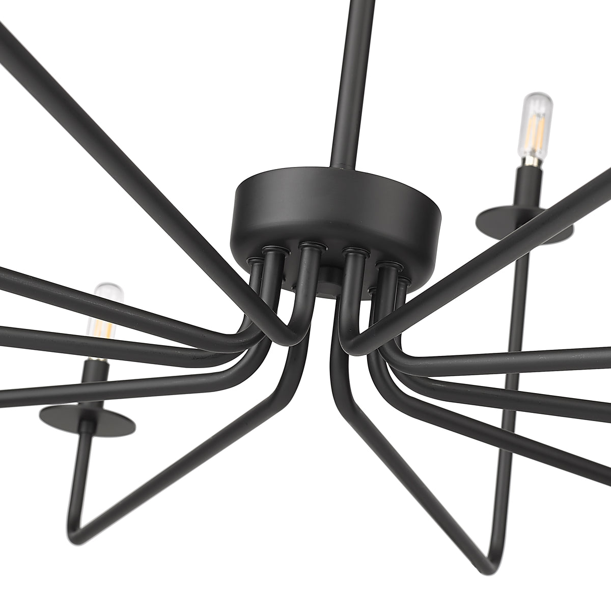 27'' Marceline Matte Black 10 Light Chandelier
