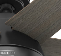 44 inch Burroughs Matte Black Ceiling Fan with LED Light Kit and Pull Chain