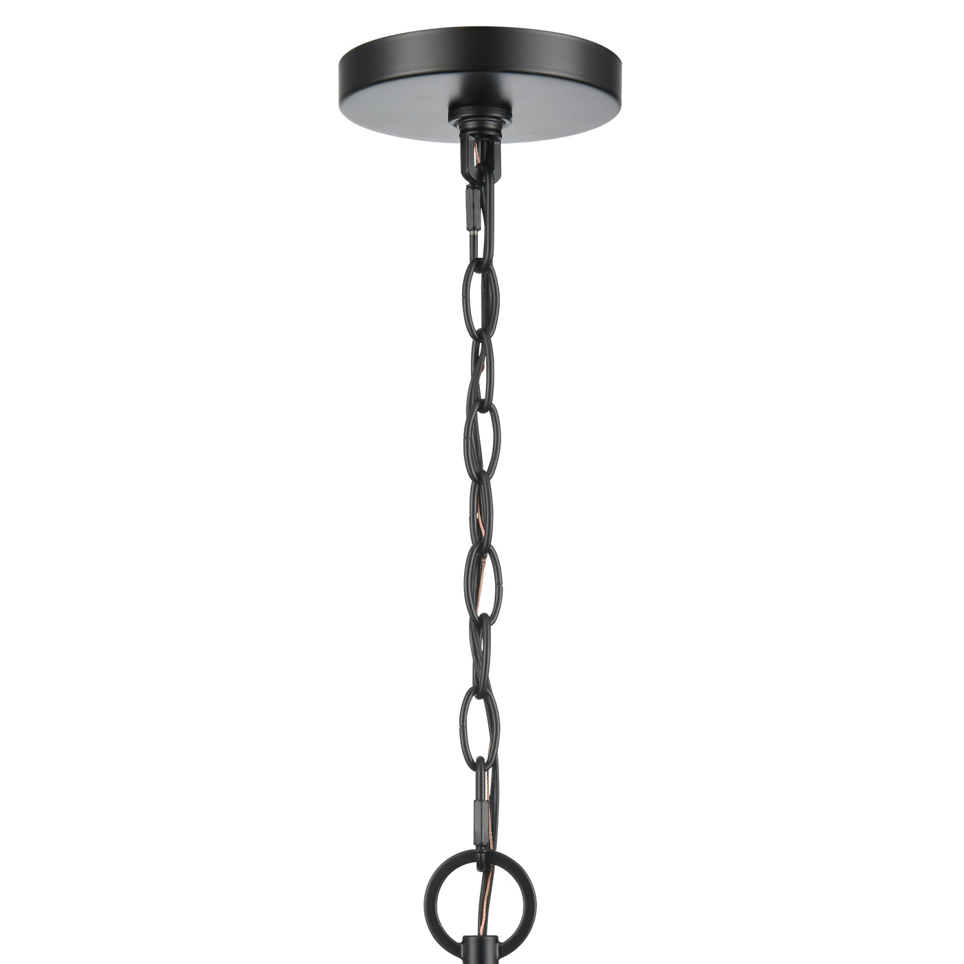 19'' Braselton Powder Coated Black 1 Light Hanging Lantern