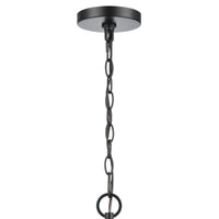 19'' Braselton Powder Coated Black 1 Light Hanging Lantern