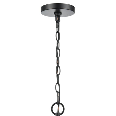 19'' Braselton Powder Coated Black 1 Light Hanging Lantern