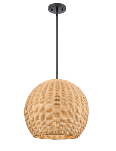 13.75'' Elise Matte Black 1 Light Pendant