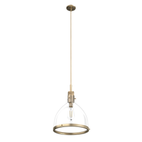 Van Nuys 16-inch 1-light Alturas Gold Industrial Pendant with Clear Glass