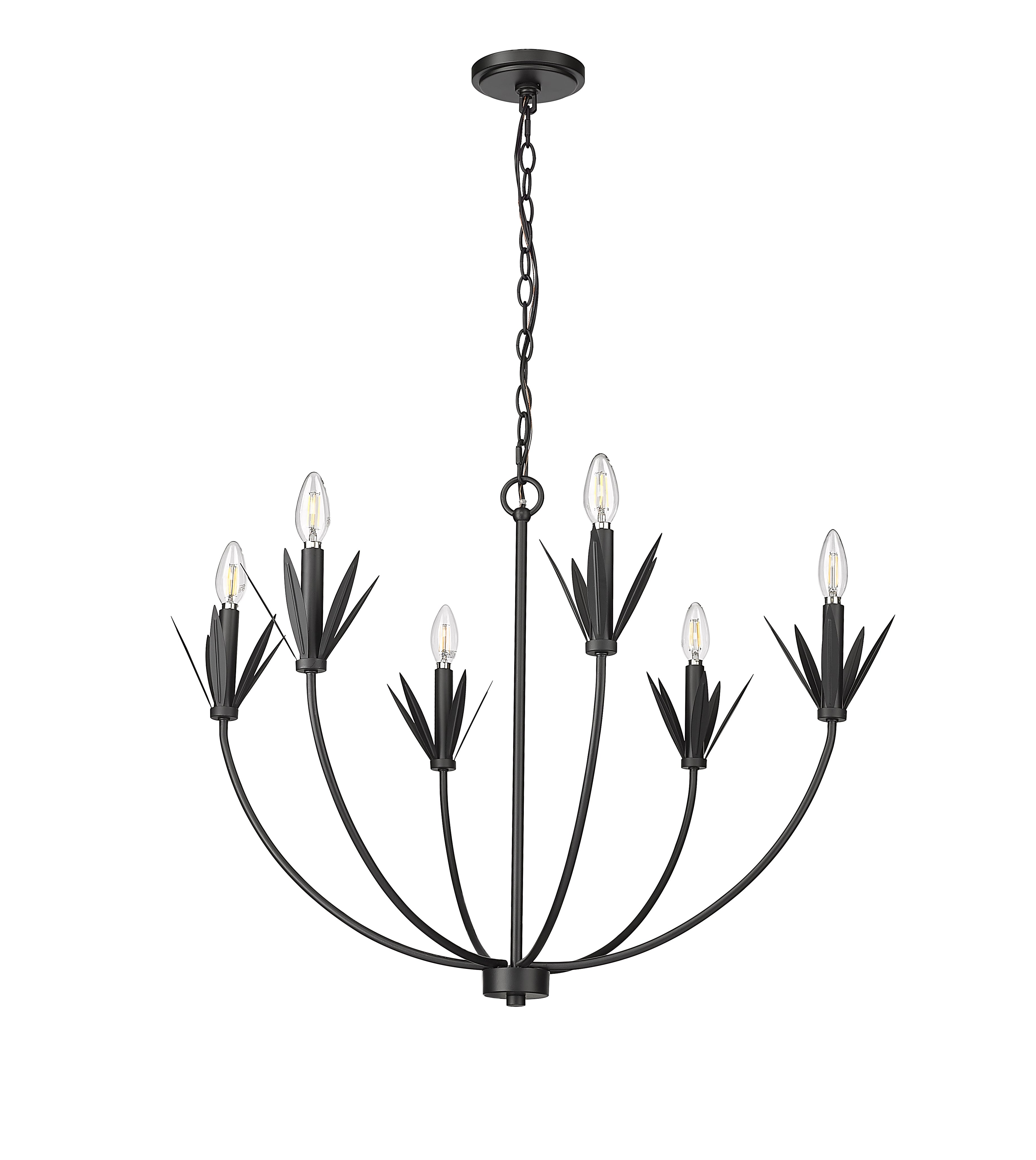 22.75'' Primrose Matte Black 6 Light Chandelier