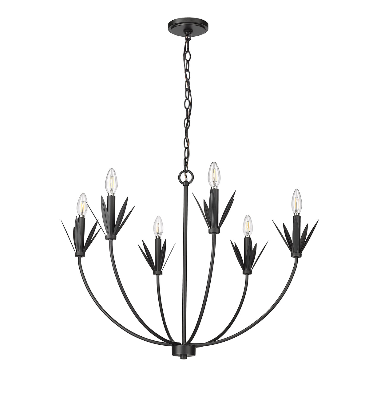 22.75'' Primrose Matte Black 6 Light Chandelier