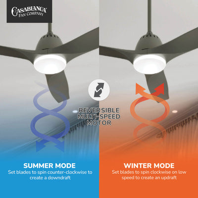 Casablanca 52 inch Wisp Painted Pewter Ceiling Fan with LED Light Kit and Handheld Remote