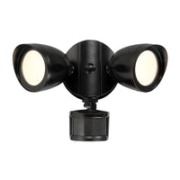 10.5''  Powder Coated Black Flood Light