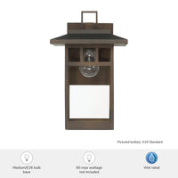 Yancy House 14-inch 1-light Matte Bronze Outdoor Wall Light with Clear Glass