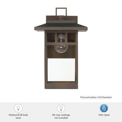 Yancy House 14-inch 1-light Matte Bronze Outdoor Wall Light with Clear Glass