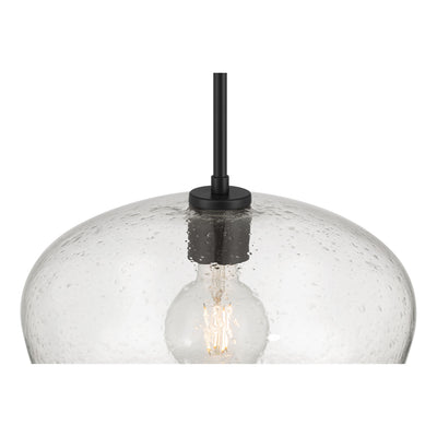 10.5'' Pomari Matte Black 1 Light Pendant