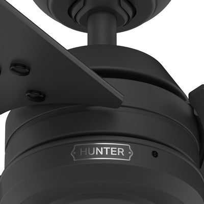 36 inch Cassius Matte Black Damp Rated Ceiling Fan and Pull Chain