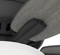 52 inch Newsome Matte Black Low Profile Ceiling Fan with LED Light Kit and Pull Chain