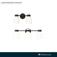 22.5'' Corella Matte Black 3 Light Bath Vanity