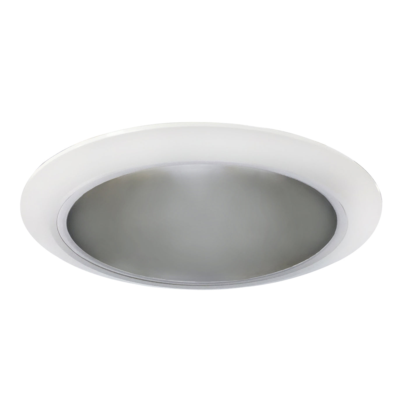 4-inch Haze Outdoor Recessed Light