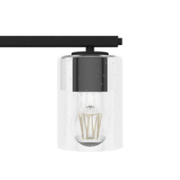 Kerrison 12-inch 4-light Natural Black Iron Vanity Light with Seeded Glass