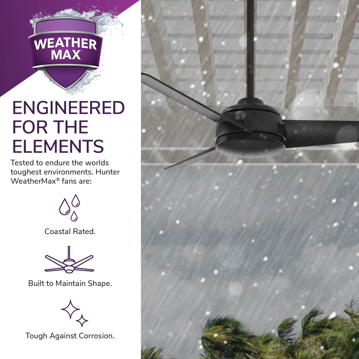 52 inch Trimaran Matte Black WeatherMax Indoor / Outdoor Ceiling Fan and Wall Control