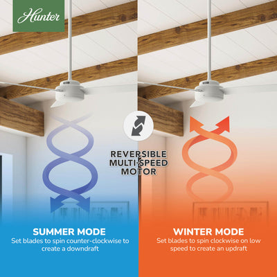 52 inch Presto Matte White Ceiling Fan and Wall Control