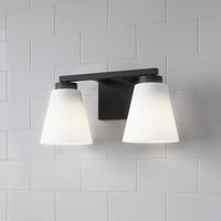 13-inch Strayhan Matte Black 2-Light White Frosted Glass Bathroom Vanity Light