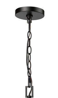 17'' Denzell Powder Coated Black 1 Light Hanging Lantern