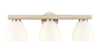 24'' Apria Modern Gold 3 Light Bath Vanity