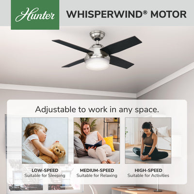 44 inch Dempsey Brushed Nickel Ceiling Fan with LED Light Kit and Handheld Remote
