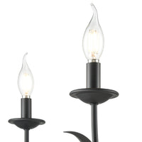 26.5'' Charlize Matte Black 5 Light Chandelier