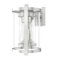 Astwood 33.25-inch 4-light Brushed Nickel Vanity Light with Clear Glass