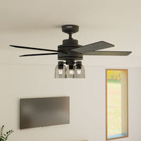52 inch Lochemeade Matte Black Ceiling Fan with LED Light Kit and Handheld Remote