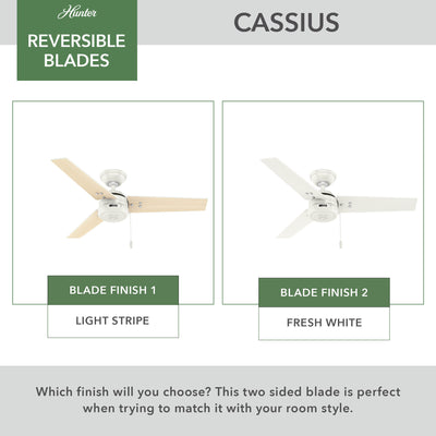 44 inch Cassius Fresh White Damp Rated Ceiling Fan and Pull Chain