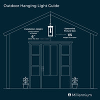 19'' Braselton Powder Coated Black 1 Light Hanging Lantern