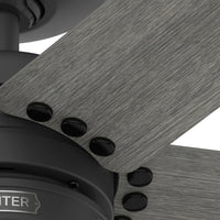 52 inch Burton Matte Black Damp Rated Ceiling Fan and Wall Control