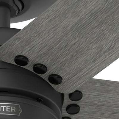 52 inch Burton Matte Black Damp Rated Ceiling Fan and Wall Control