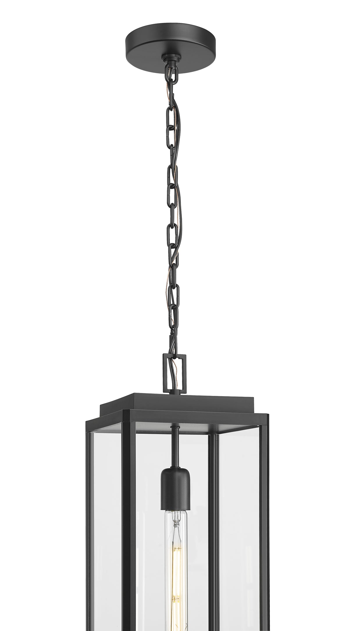 19.5'' Alpharetta Powder Coated Black 1 Light Hanging Lantern