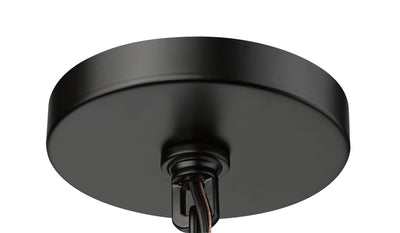 17'' Denzell Powder Coated Black 1 Light Hanging Lantern