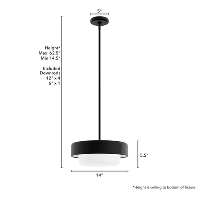 Station 14-inch 2-light Natural Black Iron Pendant with Frosted Cased White Glass