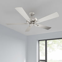 52 Inch Brisden AC Brushed Nickel Indoor Ceiling Fan 5-Blade Reversible