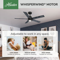 52 inch Erling ENERGY STAR® Matte Black Ceiling Fan with LED Light Kit and Handheld Remote