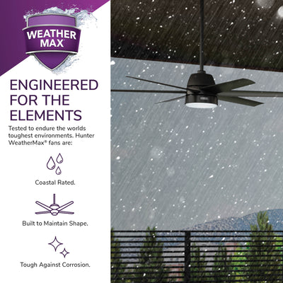 60 inch Skysail ENERGY STAR® Matte Black WeatherMax Indoor / Outdoor Ceiling Fan with LED Light Kit and Wall Control
