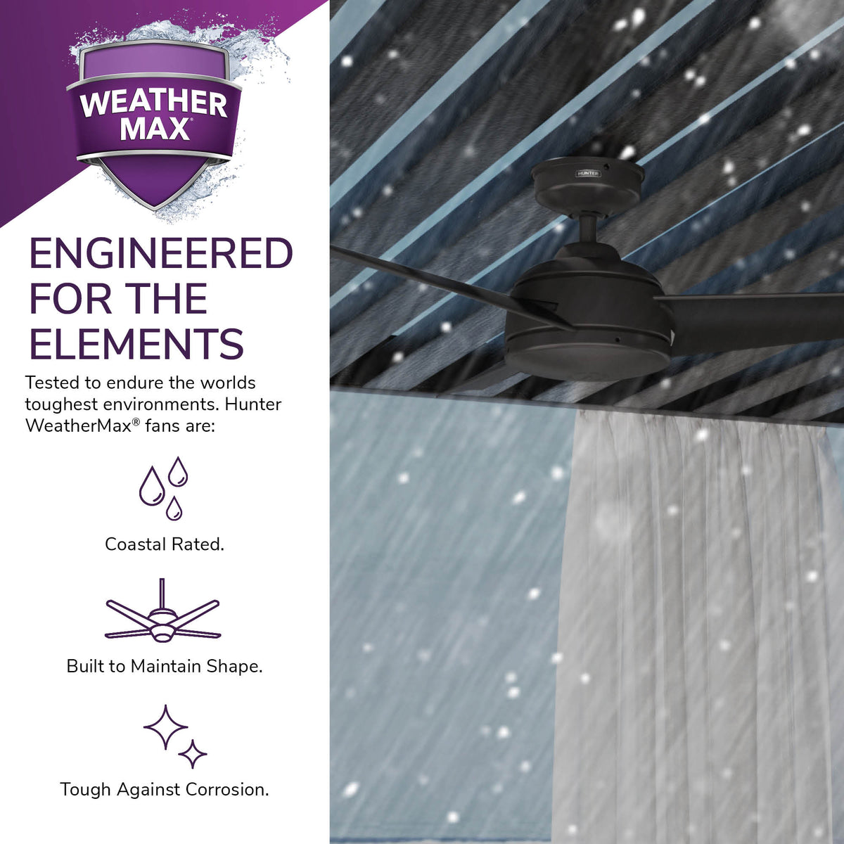 52 inch Trimaran Premier Bronze WeatherMax Indoor / Outdoor Ceiling Fan and Wall Control