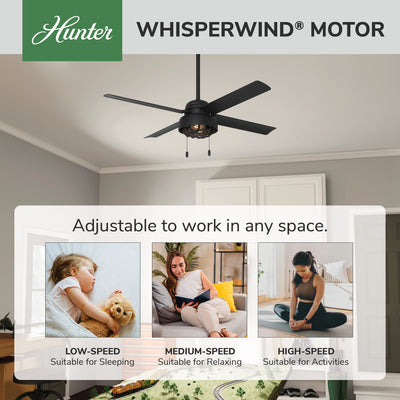 52 inch Spring Mill Matte Black Damp Rated Ceiling Fan with LED Light Kit and Pull Chain