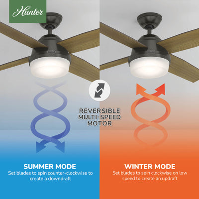 52 inch Dempsey Noble Bronze Ceiling Fan with LED Light Kit and Handheld Remote