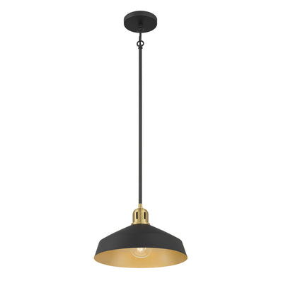 7.5'' Axlen Matte Black 1 Light Pendant