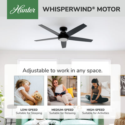 52 inch Zayden Matte Black Ceiling Fan with LED Light Kit and Handheld Remote