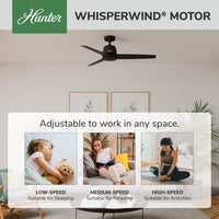 52 inch Malden Matte Black Ceiling Fan and Handheld Remote